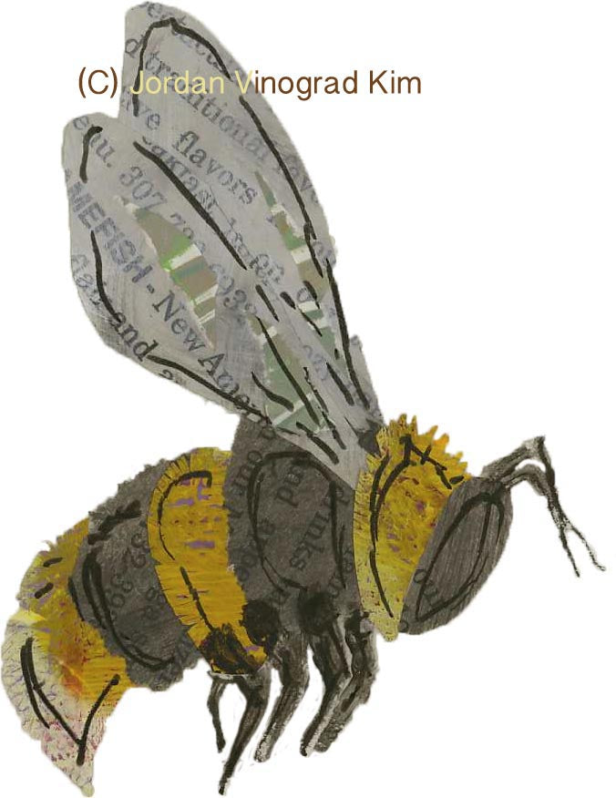 Jordan Vinograd Kim mixed media collage bee