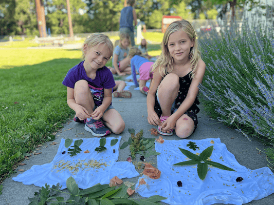 Nature Art Camps!