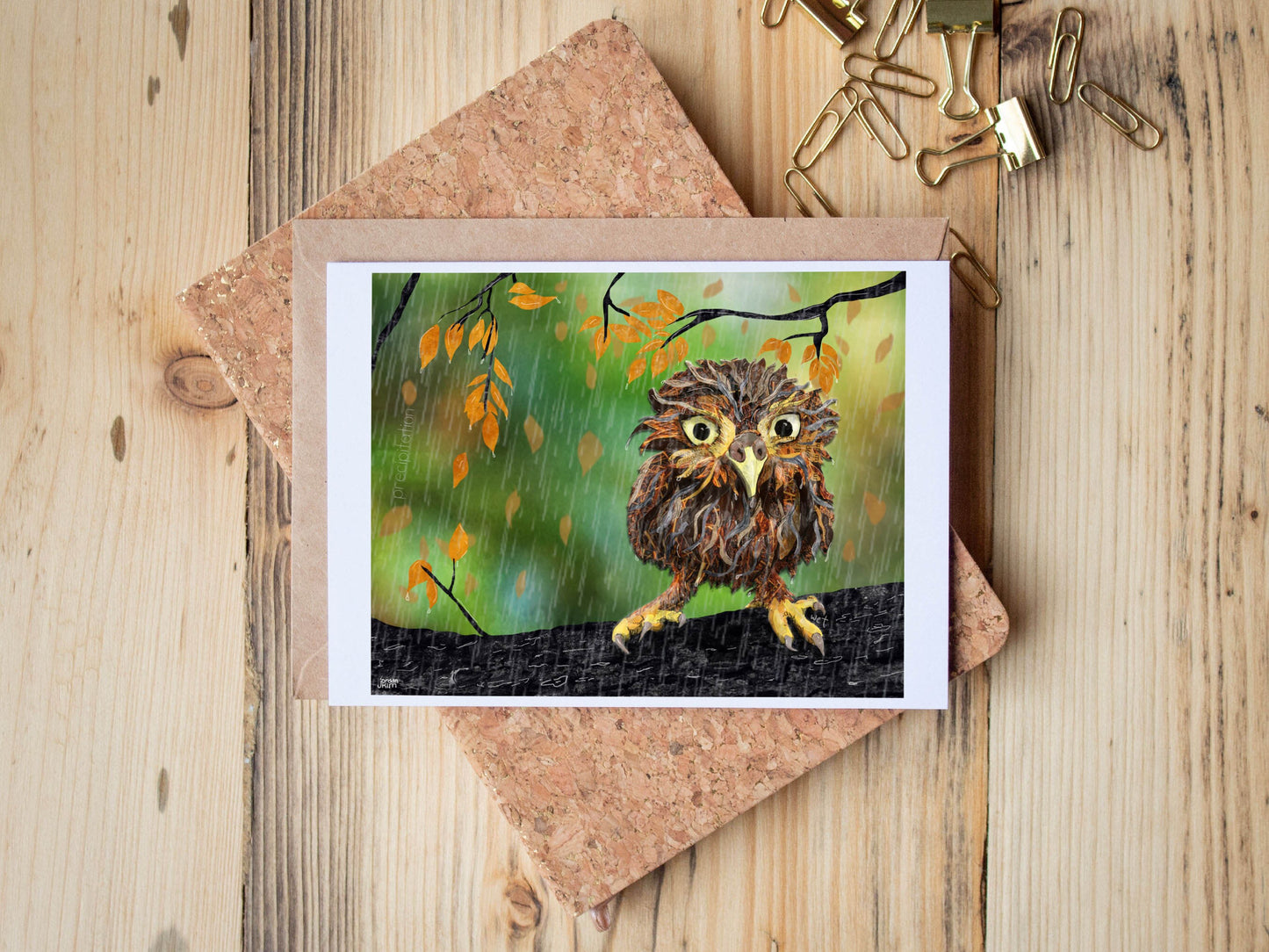 Greeting Card of mixed media collage of a small wet owl sitting on a branch in the rain - Blank Inside