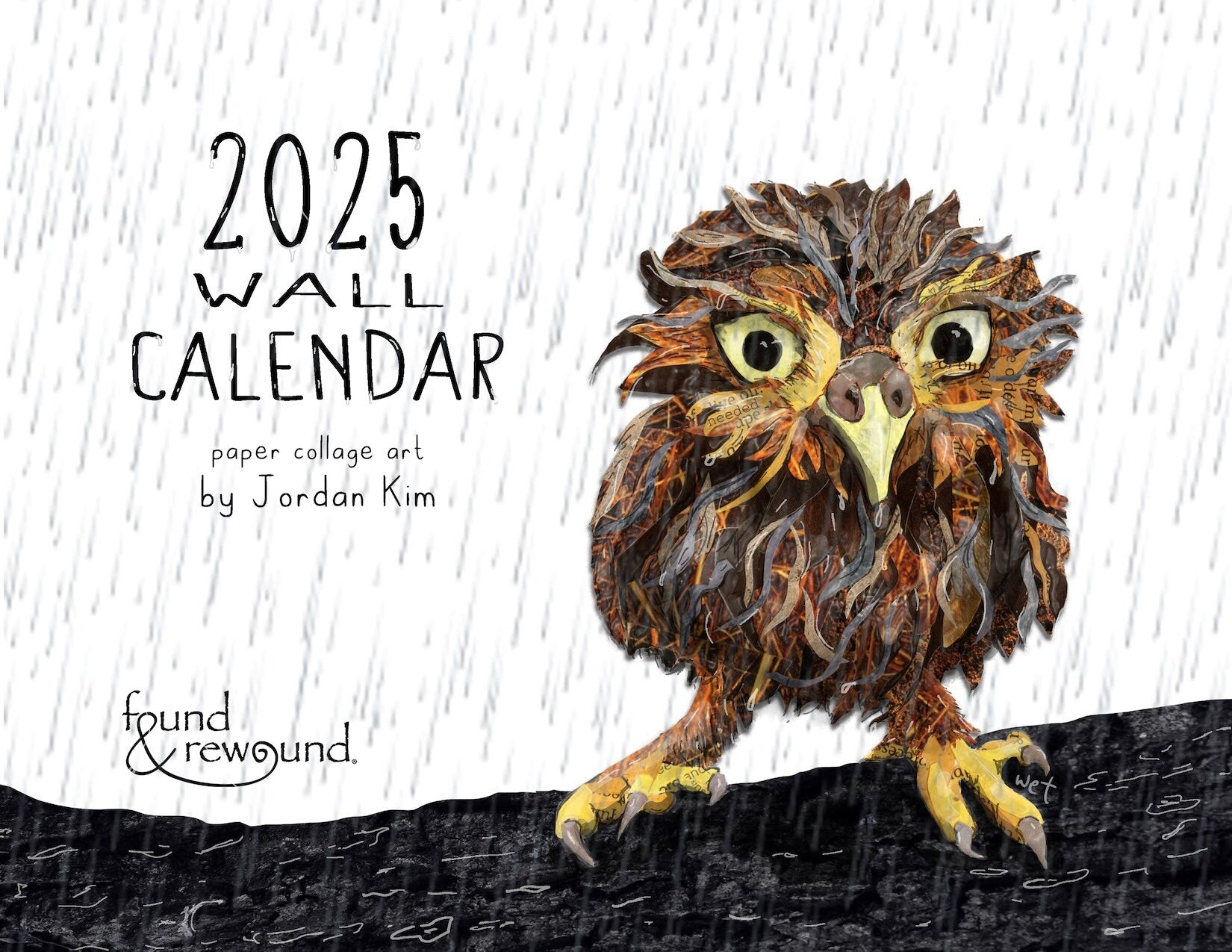 2025 Found and Rewound Wall Calendar - Water Cycle