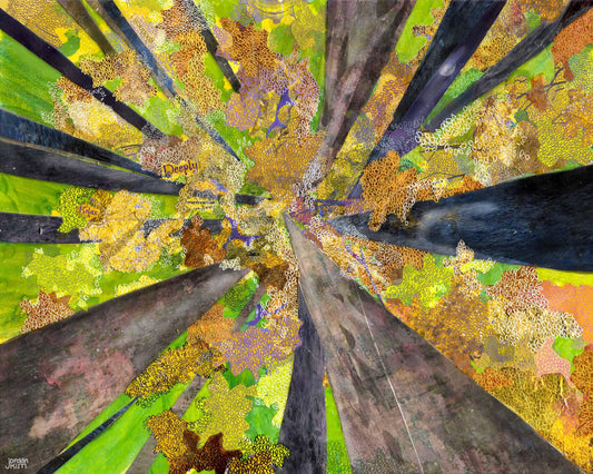 8x10 Art Print of a mixed media collage of the view looking up into the canopy of a forest with leaves and tree trunks