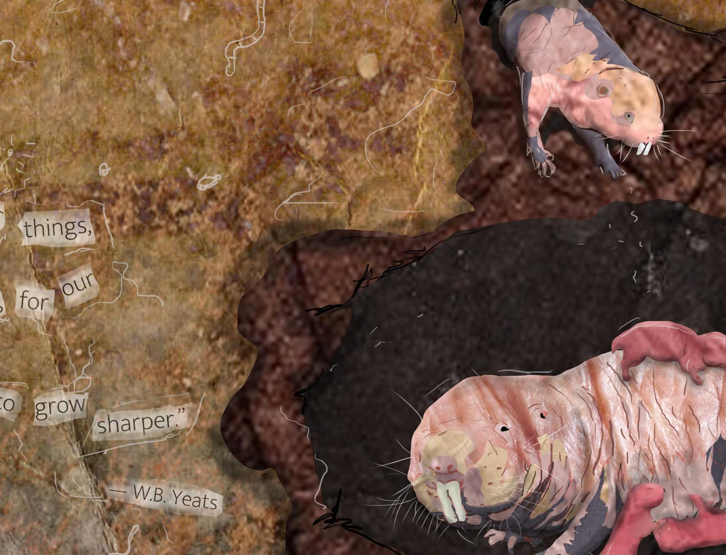 Naked Mole Rat Greeting Card – Underground Matriarch Art – Magic & Mystery – 5x7 Blank Card