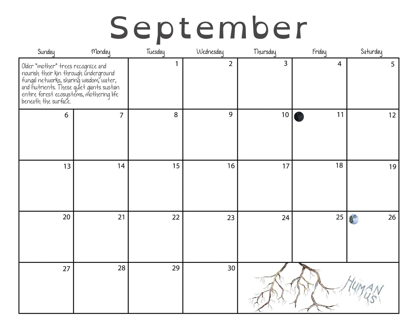 2026 Calendar - Wildlife Matriarchs – Nature-Inspired Animal Art – Powerful Females in the Wild – Jordan Kim Collage Art
