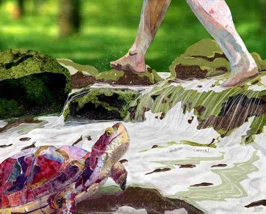 Turtle Toes Card – Paper Collage Feet Crossing Stream, 5x7 Blank Greeting Card