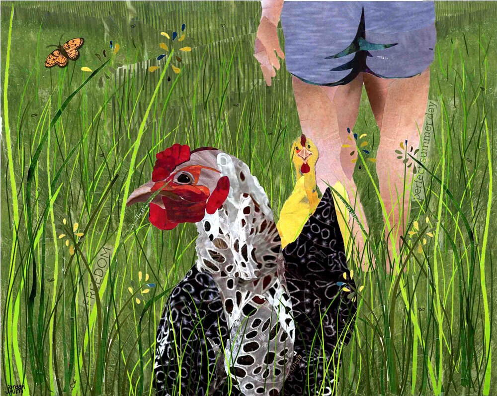 Blank Greeting Card of Chickens in Tall Green Grass in Summer - Paper Collage