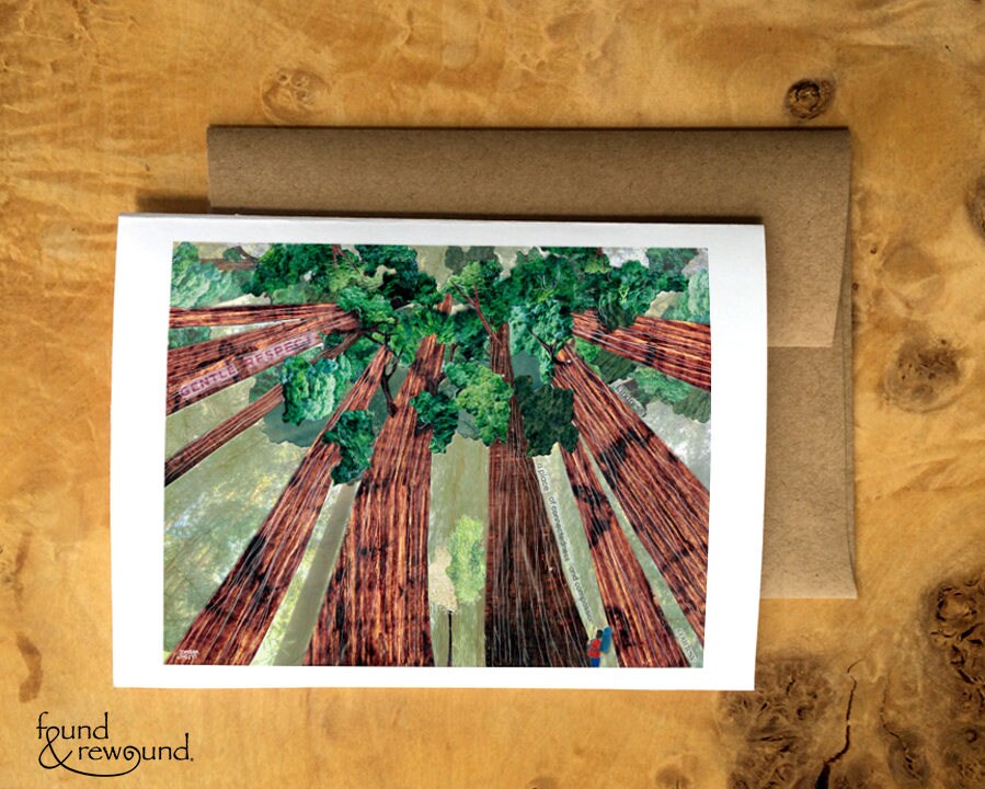 Greeting Card of a Backpacker Looking Up into the Canopy of the Redwoods - Anytime -Nature Lover - Forest - Blank Card