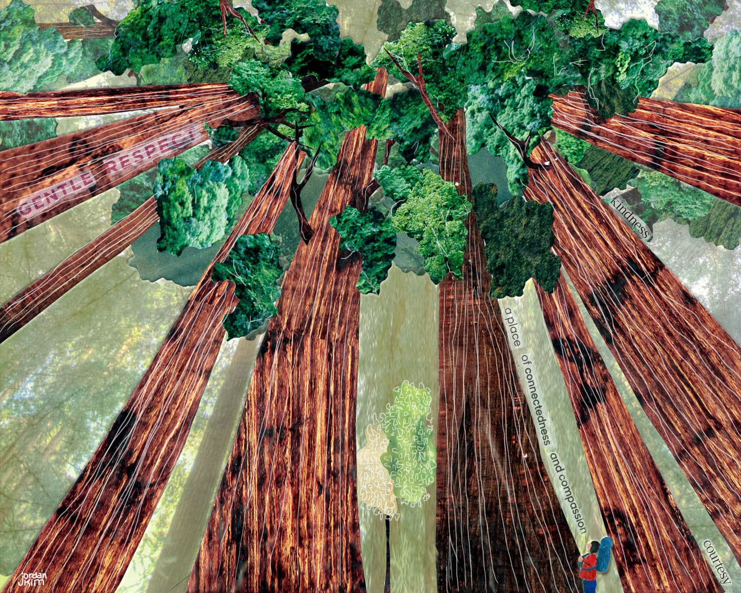 Greeting Card of a Backpacker Looking Up into the Canopy of the Redwoods - Anytime -Nature Lover - Forest - Blank Card