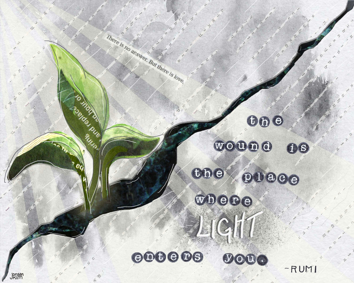 Greeting Card of Plant Sprouting from a Crack - Sympathy Card - Rumi Quote - Where the Light Enters - Blank Inside