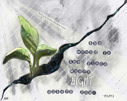 Greeting Card of Plant Sprouting from a Crack - Sympathy Card - Rumi Quote - Where the Light Enters - Blank Inside
