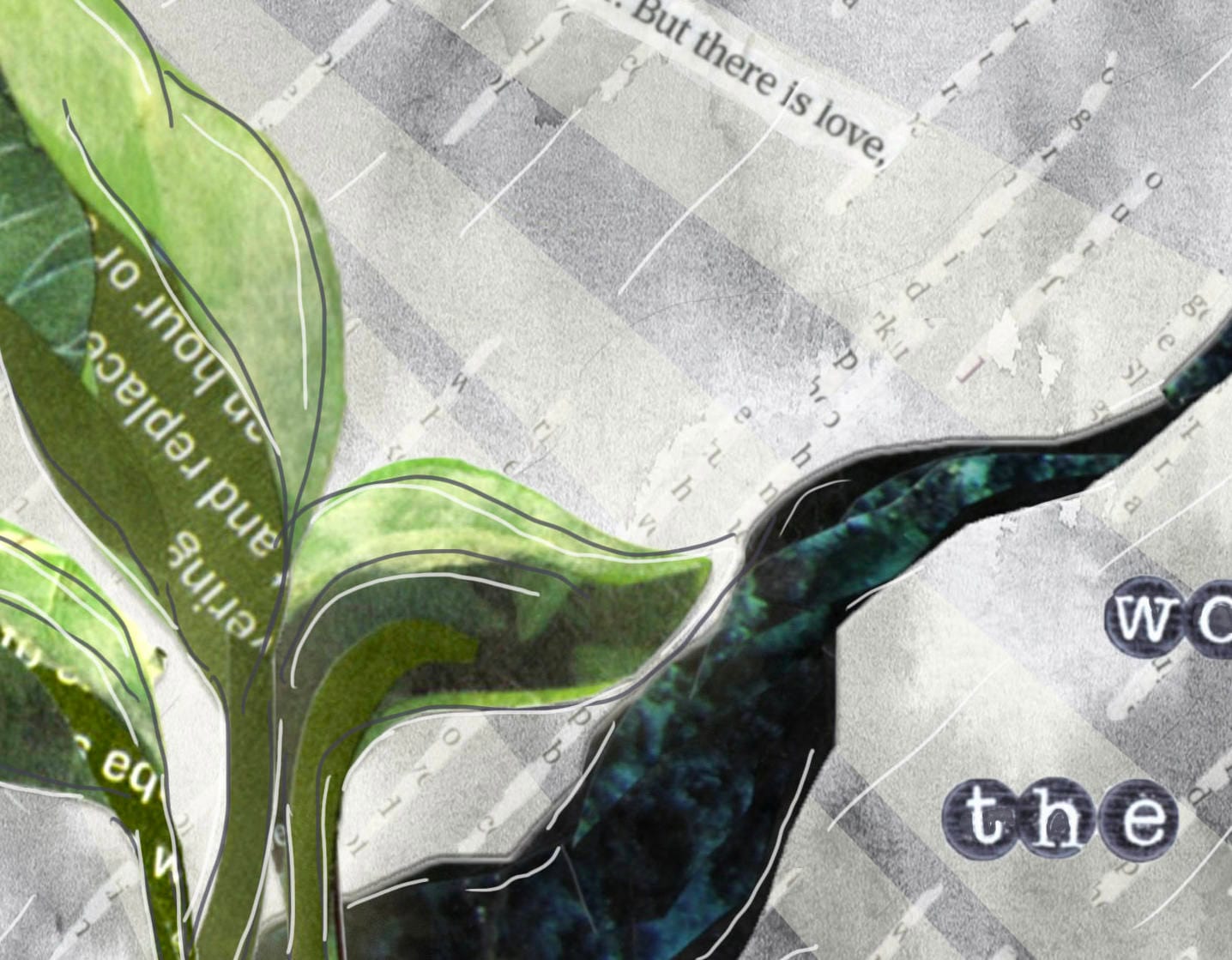 Greeting Card of Plant Sprouting from a Crack - Sympathy Card - Rumi Quote - Where the Light Enters - Blank Inside