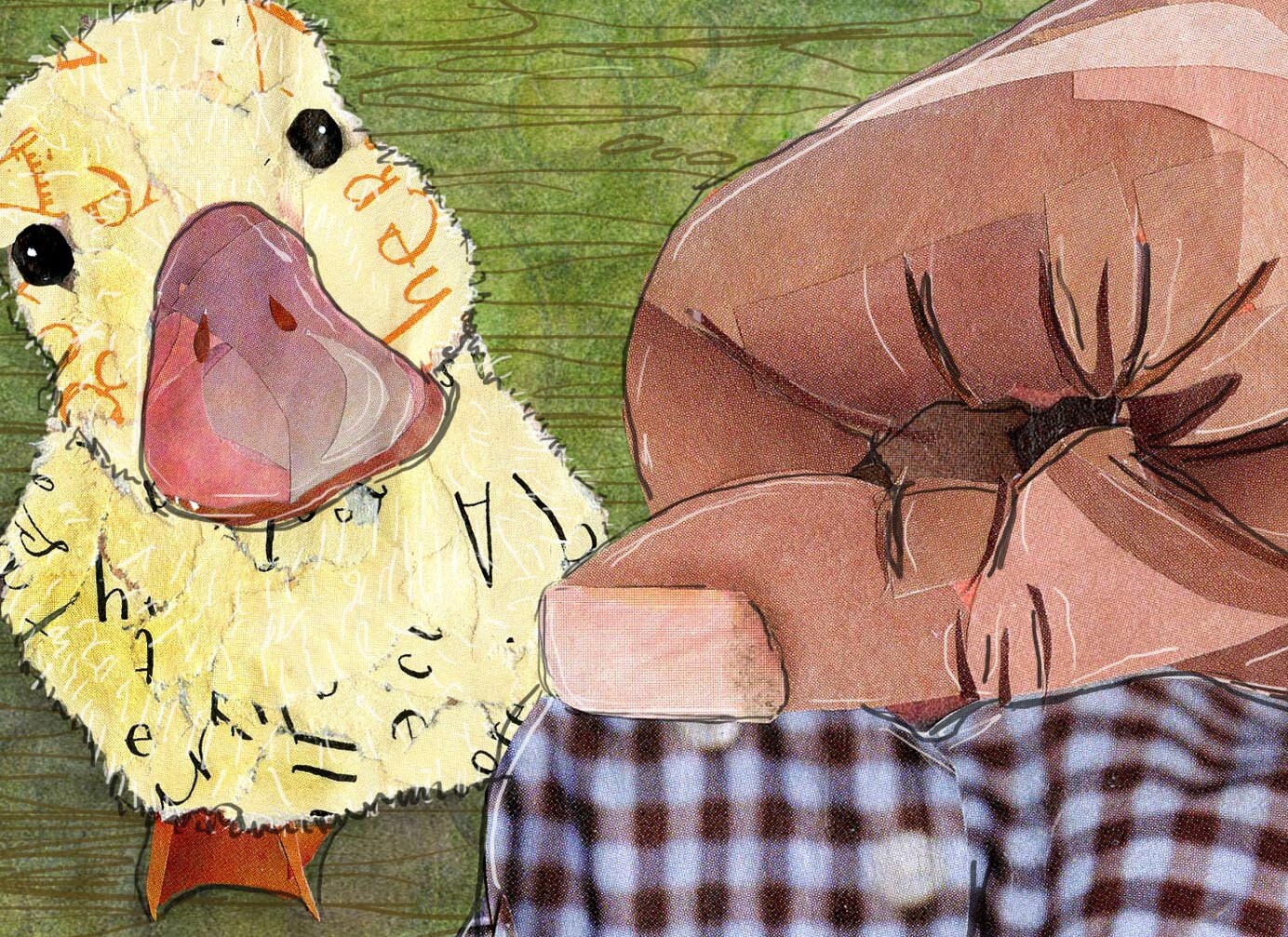 Greeting Card of a duckling looking up at person gathering eggs - farm fresh - eggs - ducks - blank inside - Easter - Mother's Day