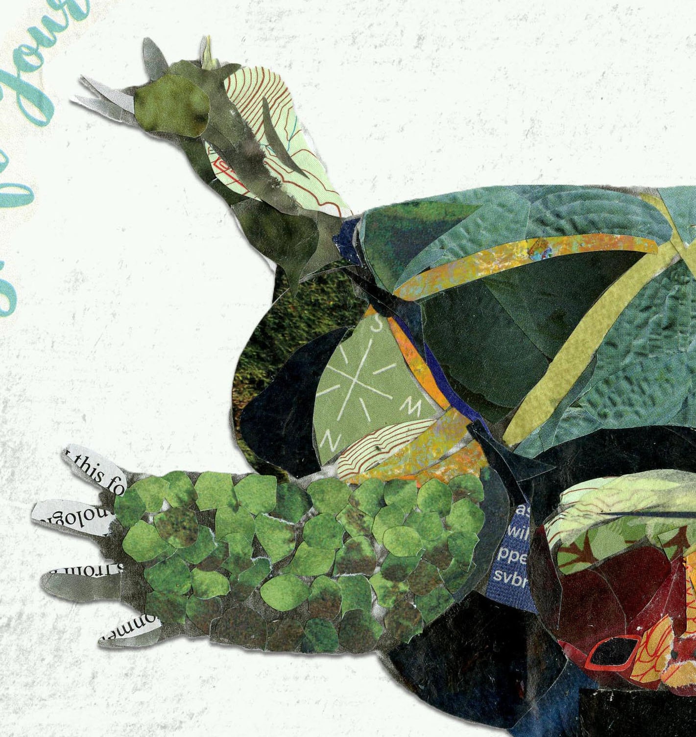 Greeting Card of a Turtle on its Back - Shift Your Outlook - Encouragement - Support - Animals - Blank Inside