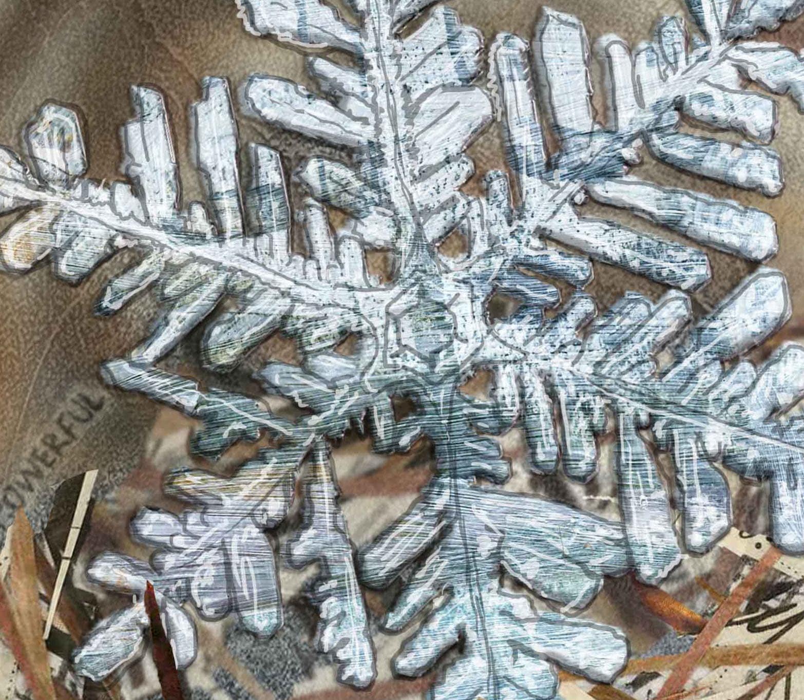 8x10 Art print of a Snowflake in Forest Duff - Winter - Snow - Nature - Wall Art