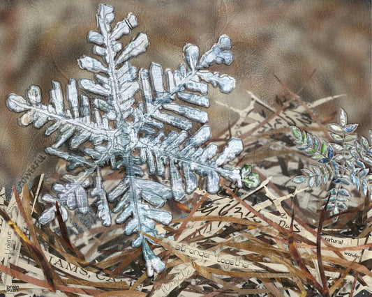 8x10 Art print of a Snowflake in Forest Duff - Winter - Snow - Nature - Wall Art