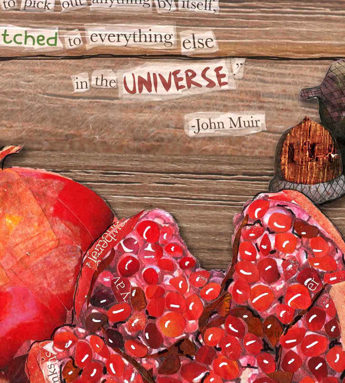 Greeting Card of a Paper Collage of Pomegranate and Acorns with John Muir Quote - Blank Inside