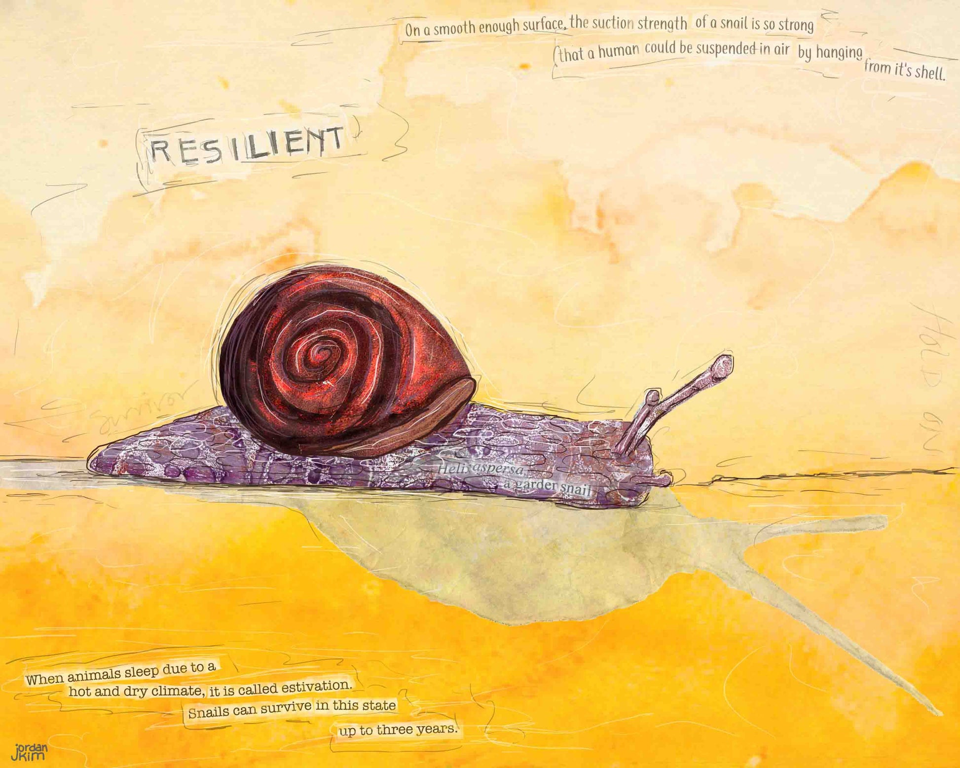 8x10 Art print of a Paper Collage of a Snail with the word Resilient and snail facts - Inspirational Wall Art
