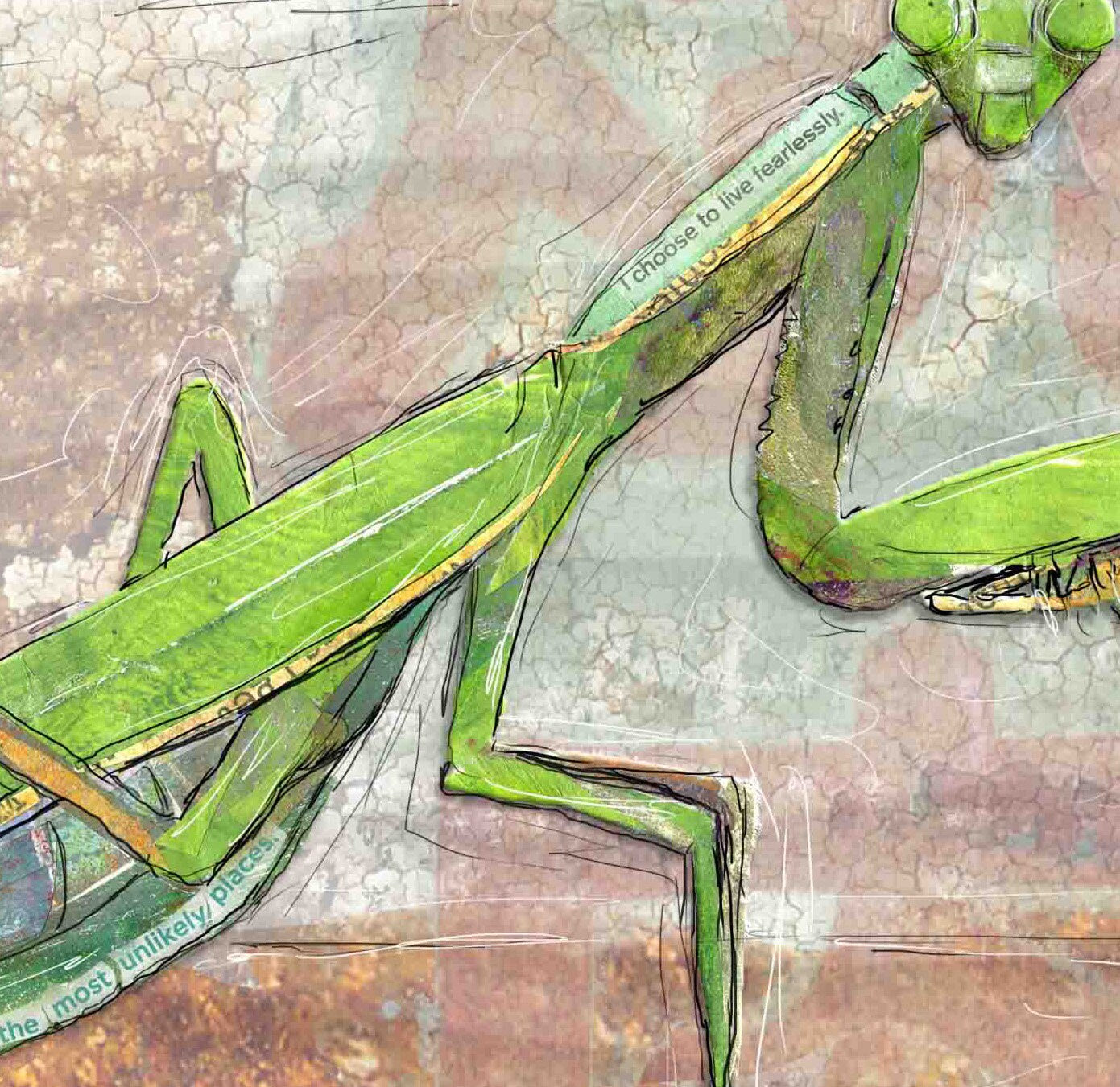 8x10 Art print of a Paper Collage of a Praying Mantis with the words Strong and Fierce - Inspirational Wall Art