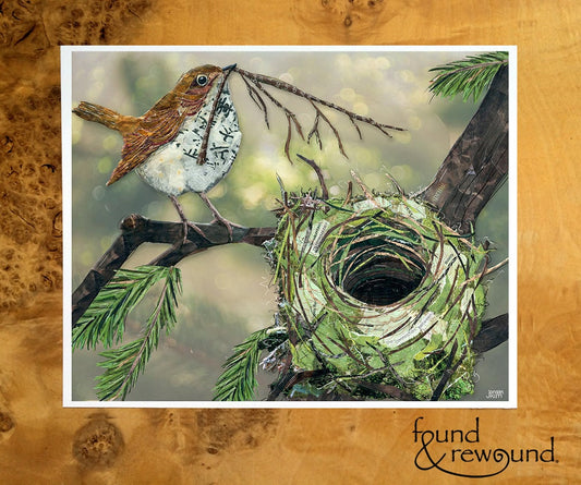 8x10 Art print of a Paper Collage of Swainson's Thrush bird building a nest in a fir tree - Wall Art