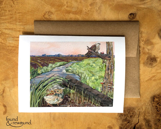 Greeting Card of a Paper Collage of a fledgling bird hiding as osprey eats a fish nearby stream - Blank Inside