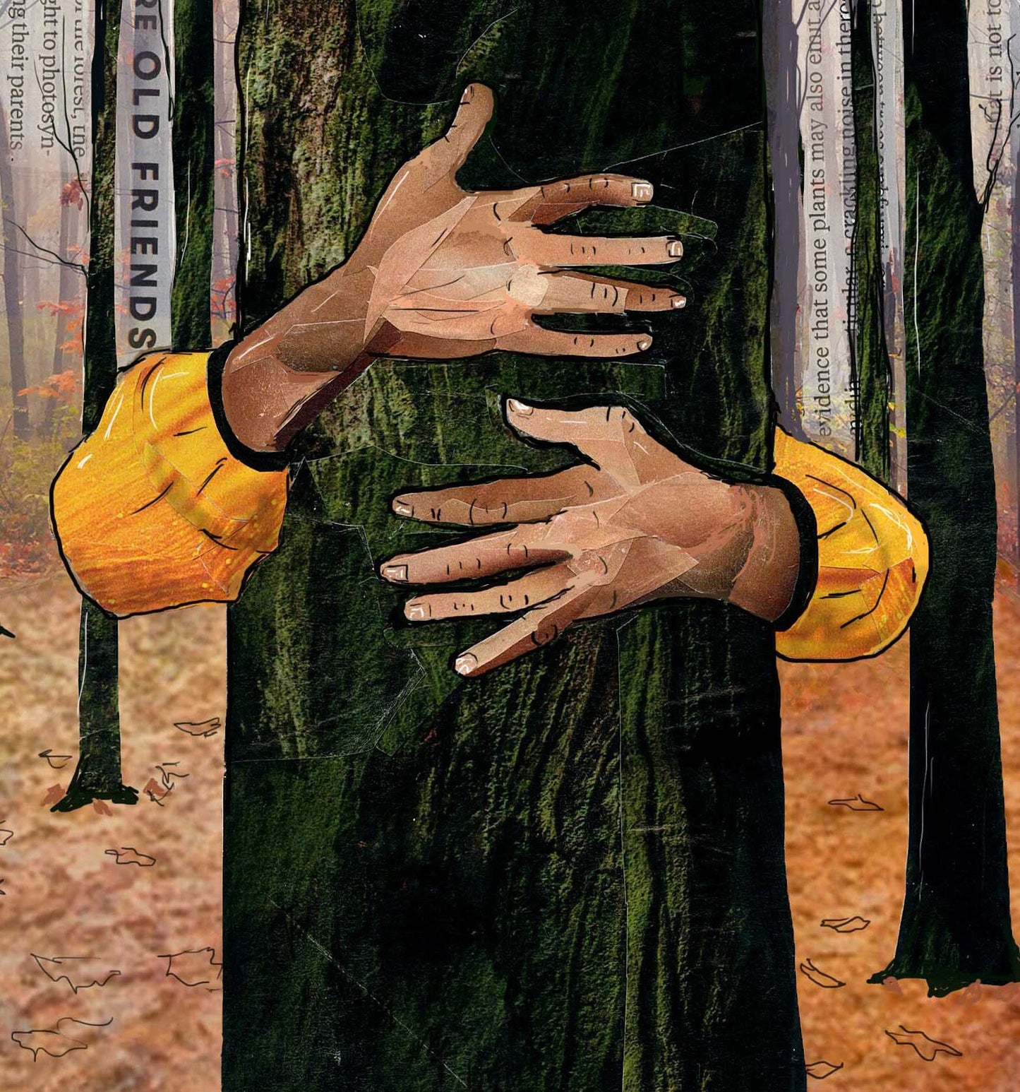 Greeting Card of a Paper Collage of a person hugging a tree, tree hugger, hands, forest, nature, pandemic art, connection - Blank Inside