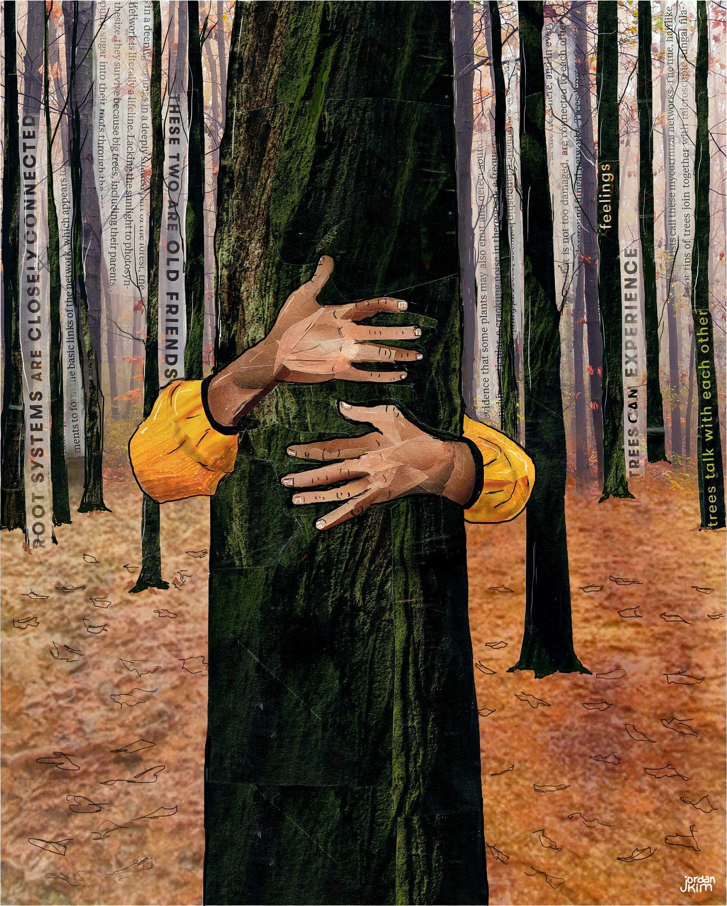 Greeting Card of a Paper Collage of a person hugging a tree, tree hugger, hands, forest, nature, pandemic art, connection - Blank Inside