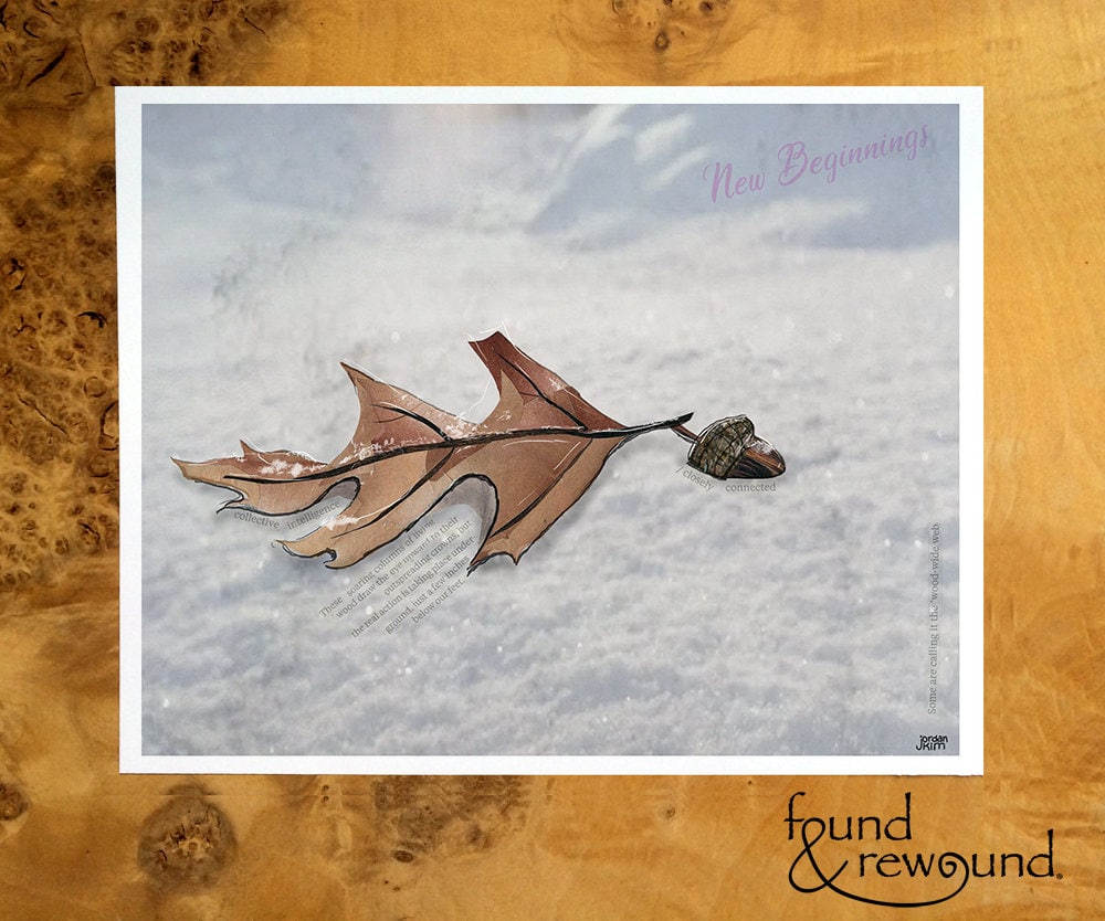 8x10 Art Print of a mixed media collage of an acorn and oak leaf in the snow, winter, reset - new beginnings