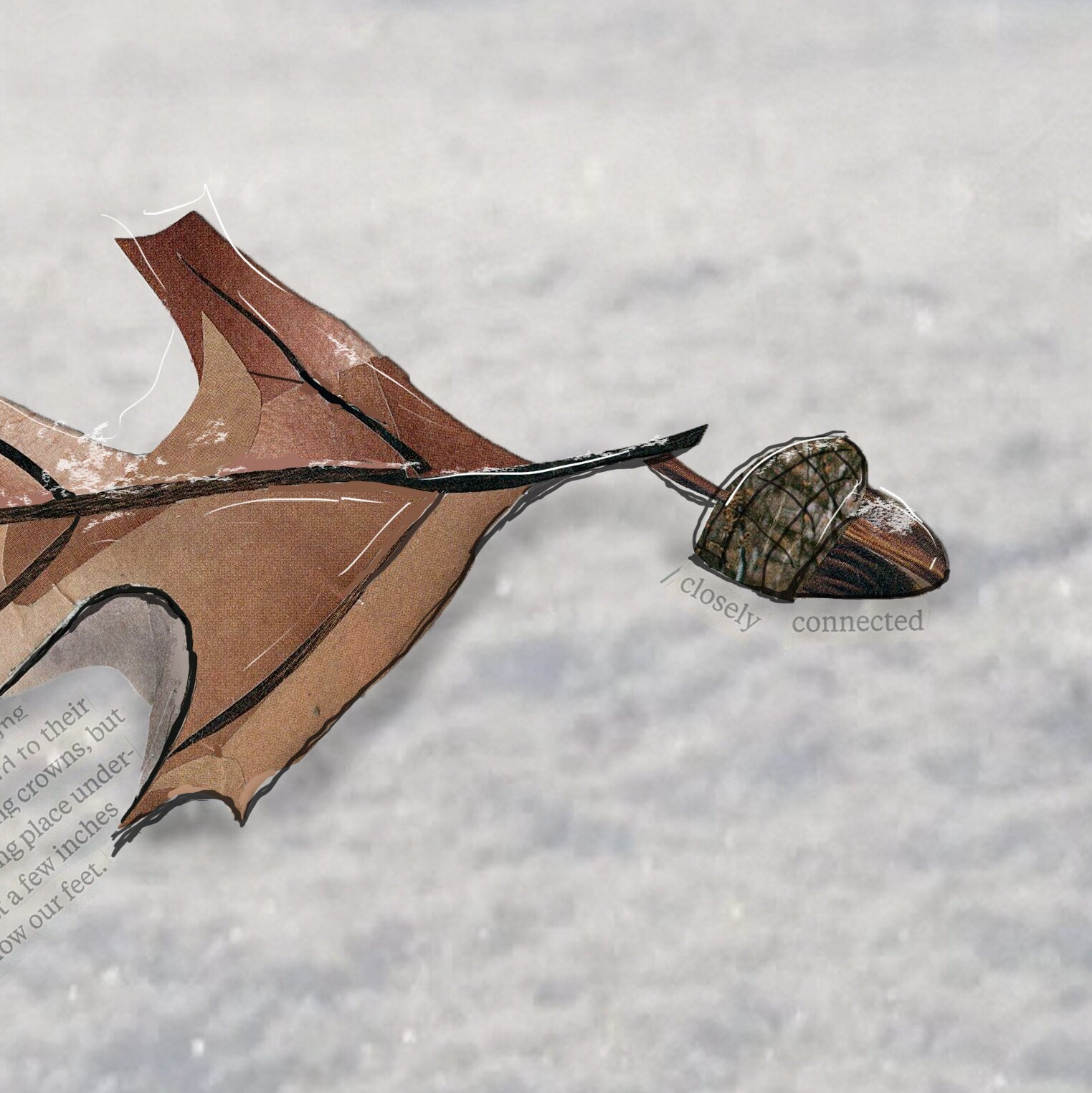 8x10 Art Print of a mixed media collage of an acorn and oak leaf in the snow, winter, reset - new beginnings