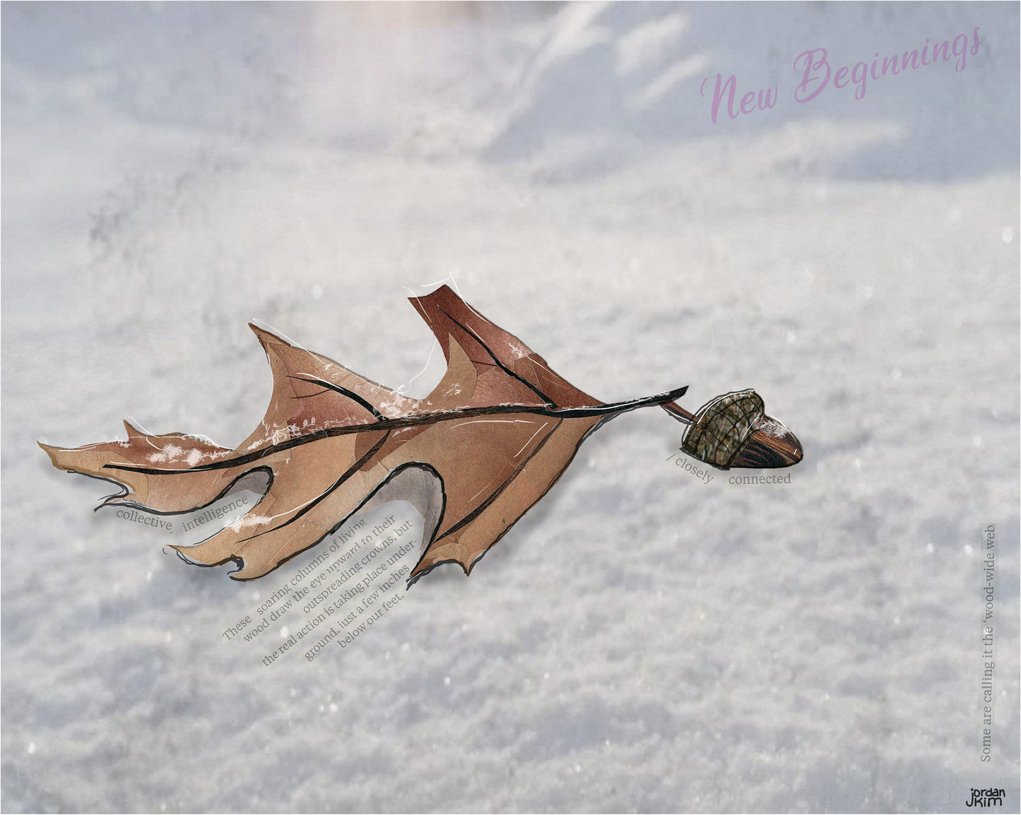 8x10 Art Print of a mixed media collage of an acorn and oak leaf in the snow, winter, reset - new beginnings
