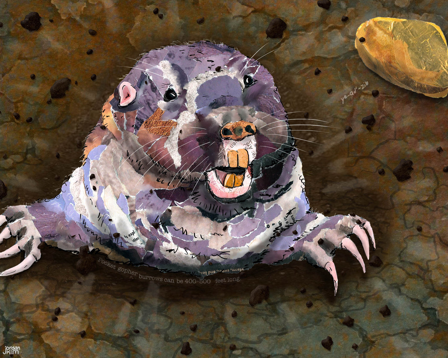 Greeting Card of mixed media collage of a pocket gopher popping out of the soil, Yellowstone - Blank Inside
