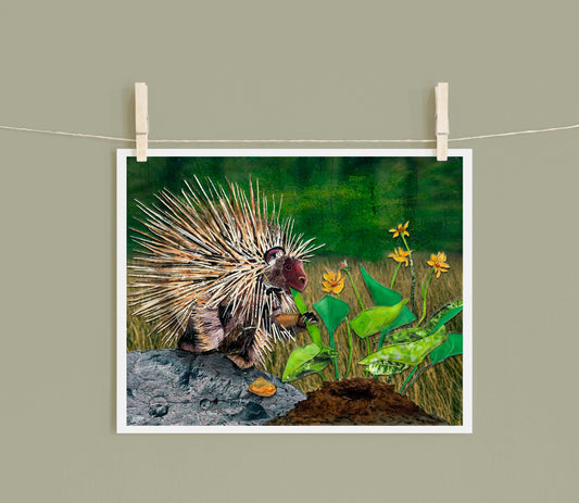 8x10 Art Print of a mixed media collage of a porcupine eating balsam root, Yellowstone