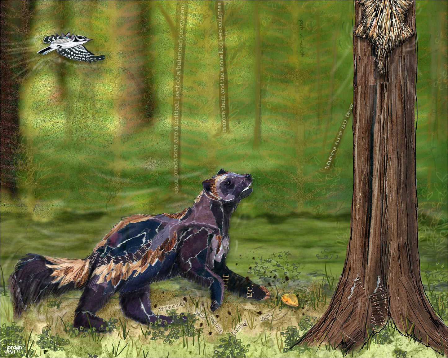 Greeting Card of mixed media collage of a wolverine chasing a porcupine, Yellowstone - Blank Inside