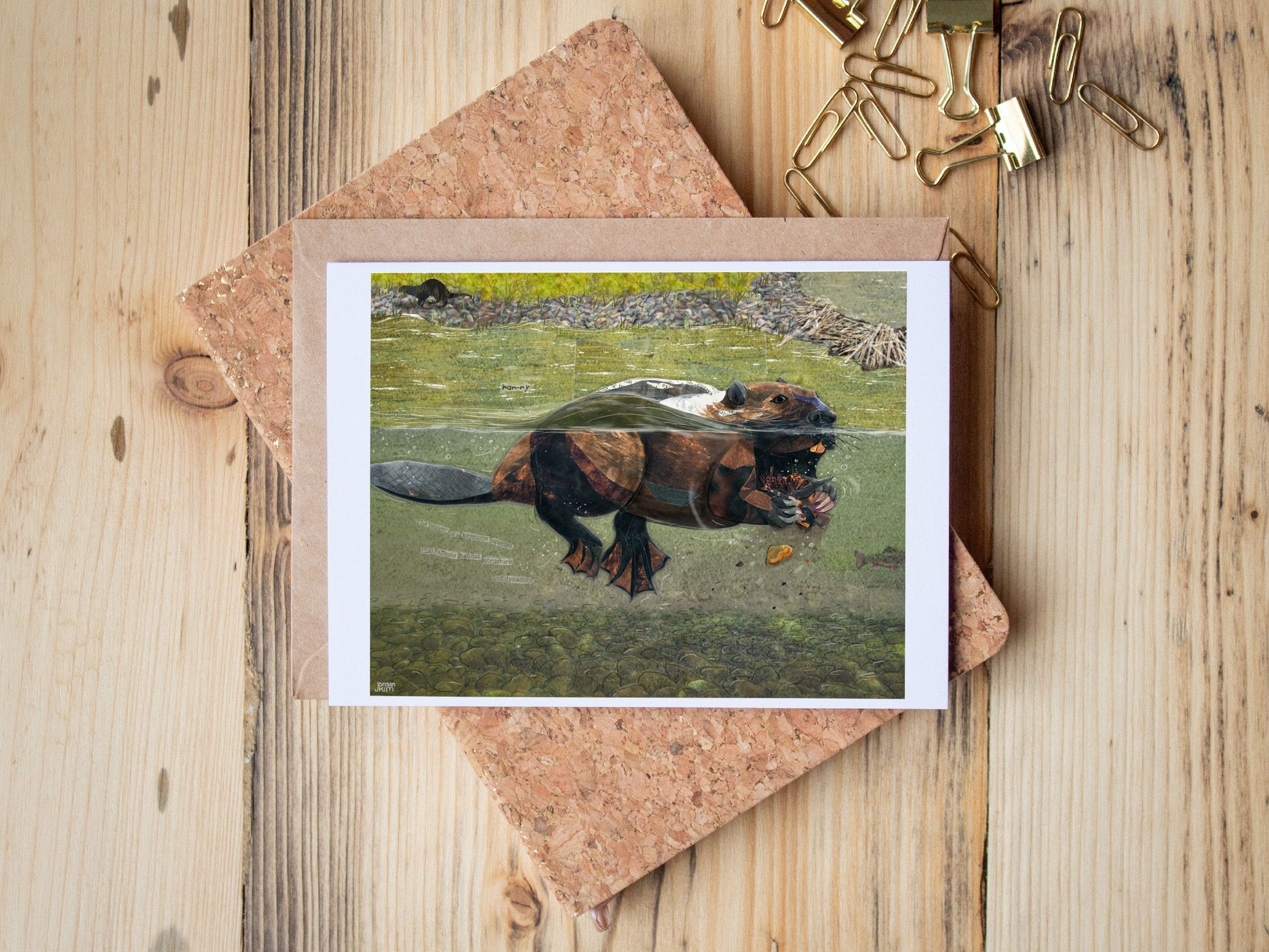 Greeting Card of mixed media collage of a beaver swimming, Yellowstone - Blank Inside