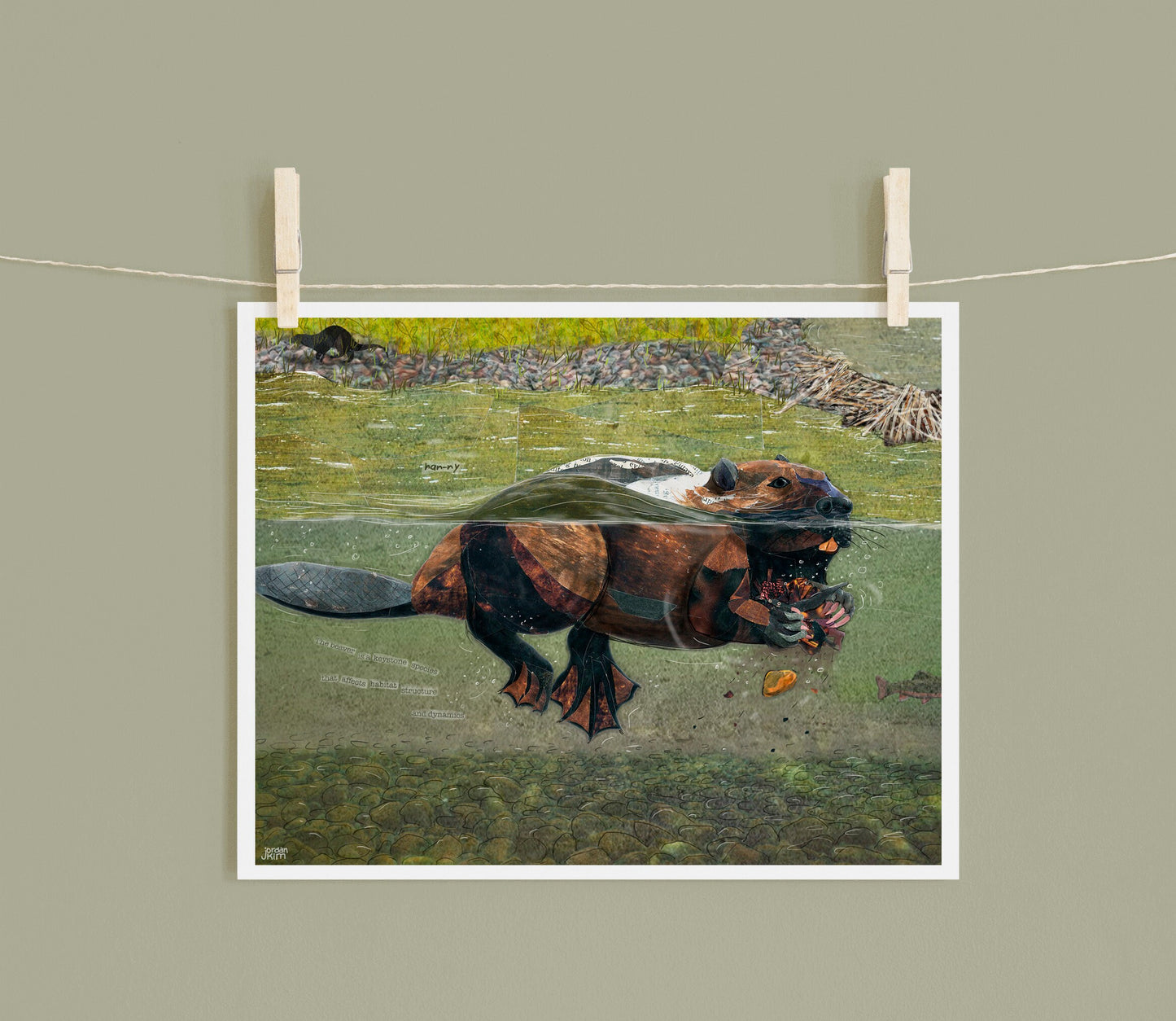 8x10 Art Print of a mixed media collage of a beaver swimming, Yellowstone