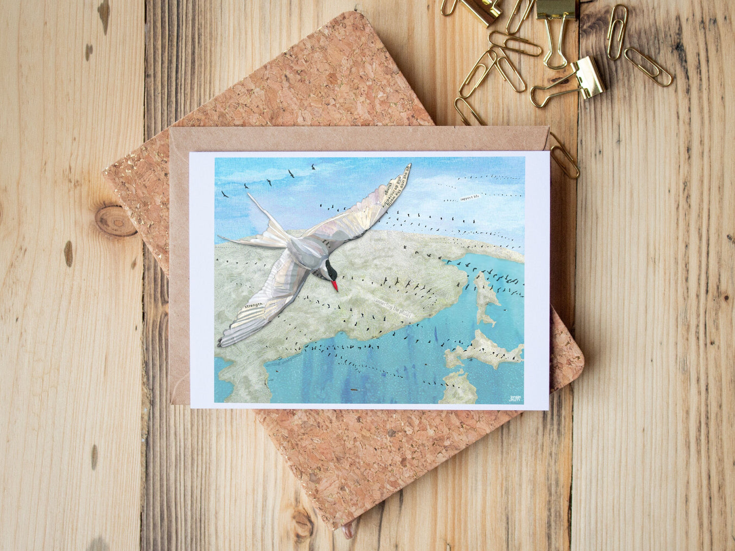 Greeting Card of mixed media collage of Arctic Terns flying over the planet along with other birds migrating around the globe- Blank Inside