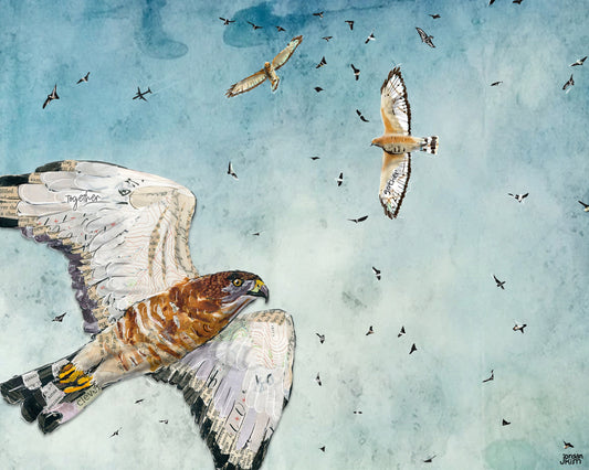 8x10 Art Print of a mixed media collage of Broad-Winged Hawks migrating through the sky in large groups called kettles, migration