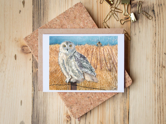 Greeting Card of mixed media collage of a Snowy Owl perched on a fence post with birdwatcher in background - Blank Inside