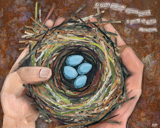 Greeting Card of mixed media collage of a hand holding a robin nest with four blue eggs in it, nature, birds, baby - Blank Inside