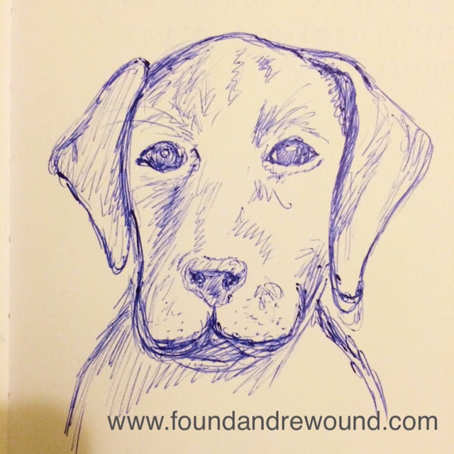 Jordan Kim lab puppy sketch