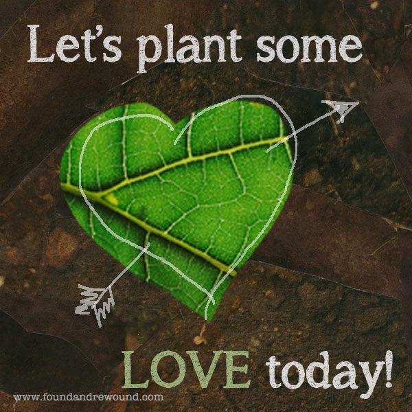 jordan Kim Love note seed plant love