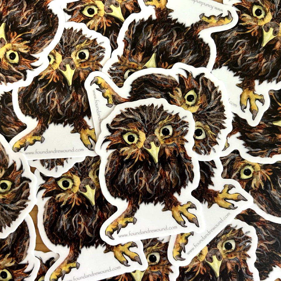 Soggy Owl Sticker