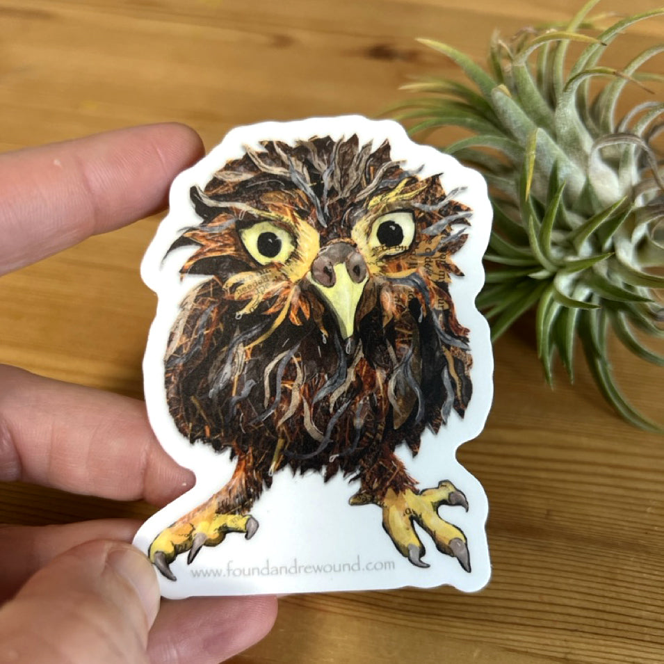 Soggy Owl Sticker