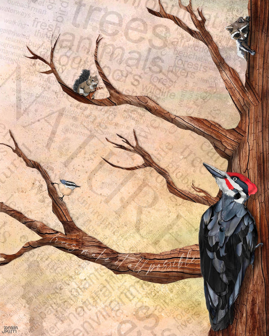 Greeting Card of mixed media collage of the branches of a tree with a pileated woodpecker, nuthatch, squirrel, and raccoon - Blank Inside