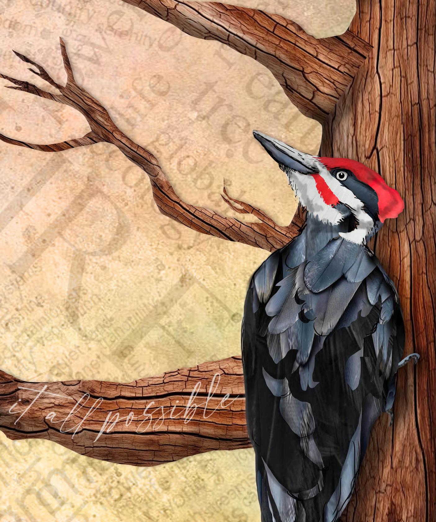 8x10 Art Print of a mixed media collage of the view looking up into tree branches with a pileated woodpecker, nuthatch, squirrel and raccoon