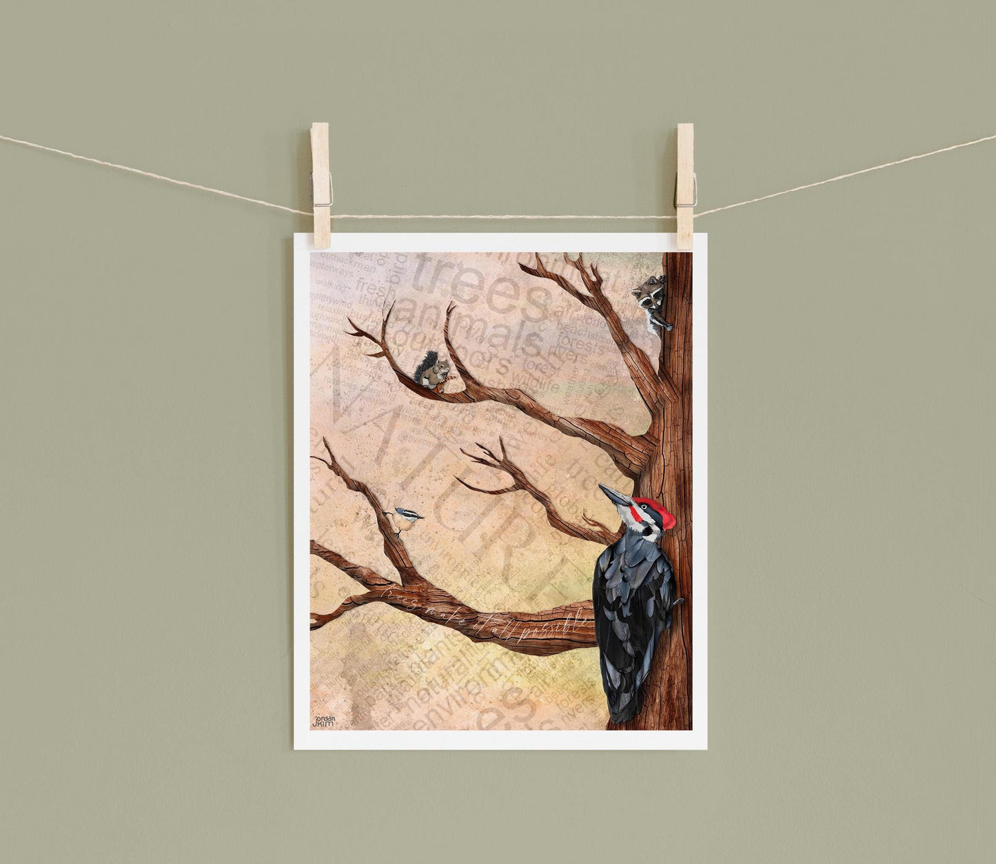 8x10 Art Print of a mixed media collage of the view looking up into tree branches with a pileated woodpecker, nuthatch, squirrel and raccoon