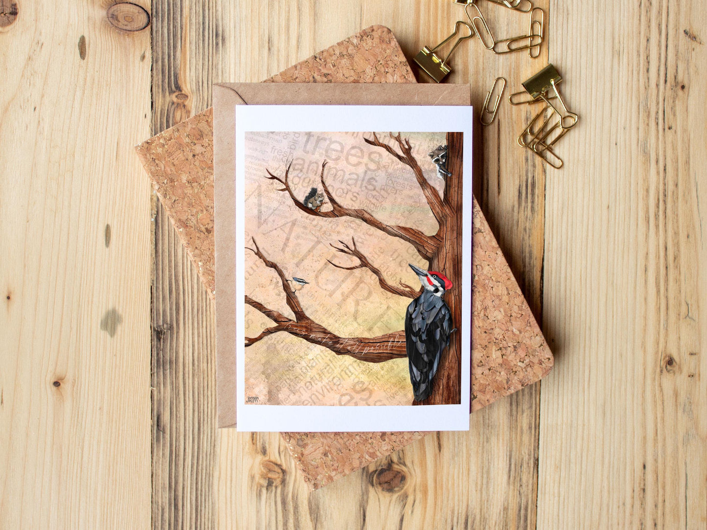 Greeting Card of mixed media collage of the branches of a tree with a pileated woodpecker, nuthatch, squirrel, and raccoon - Blank Inside