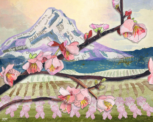 Greeting Card of a mixed media collage of Mt. Hood with blooming pear, apple, and cherry orchards pink blossoms frame mountain- Blank Inside