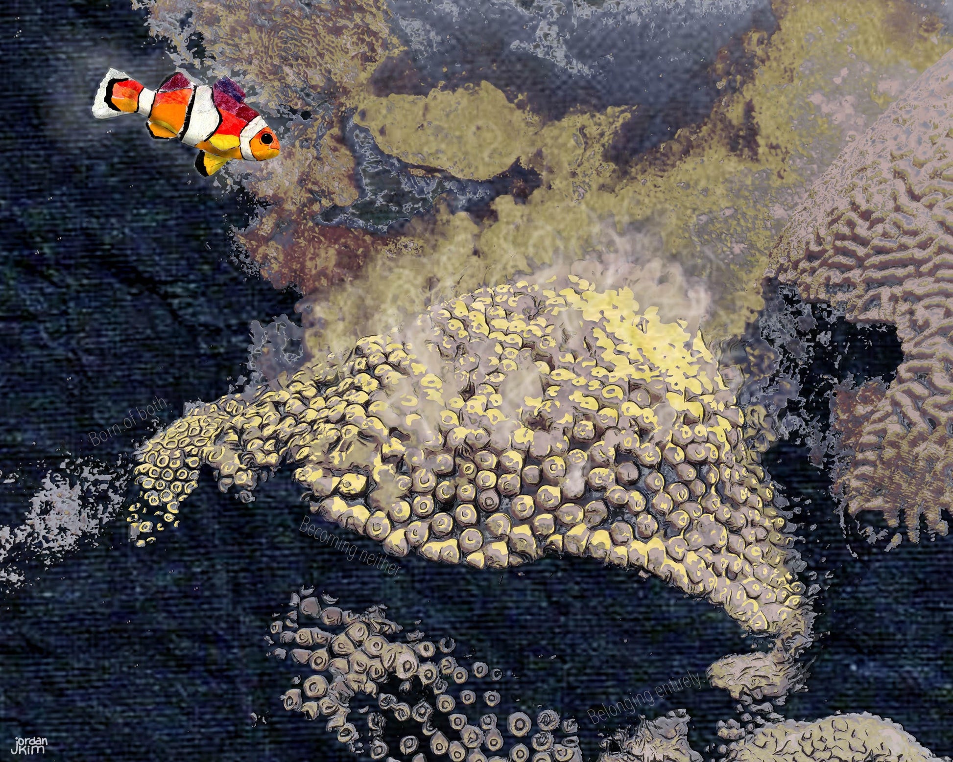 Coral Reef Greeting Card – Great Star Coral + Clownfish – Mixed Media Ocean Art – 5x7 Blank Card by Jordan Kim