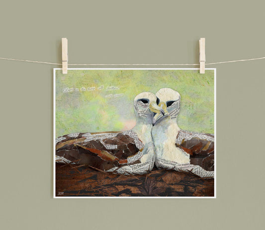 Laysan Albatross Art Print – 8x10 Mixed Media Collage – Queer Female Pair Birds by Jordan Kim