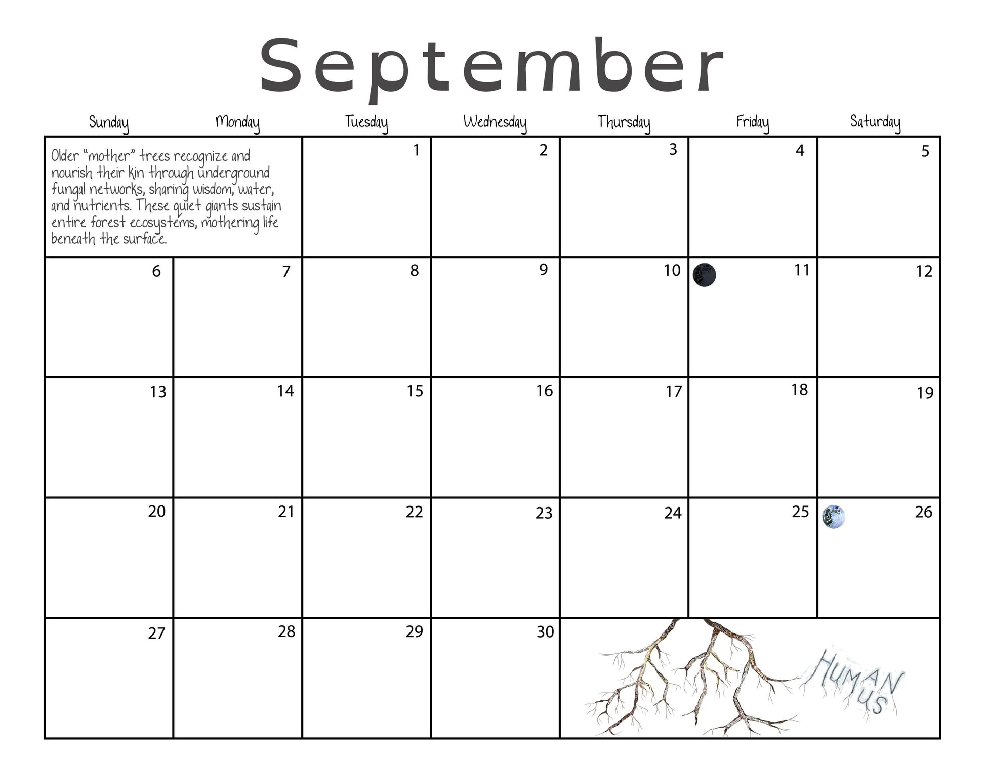 2026 Calendar - Wildlife Matriarchs – Nature-Inspired Animal Art – Powerful Females in the Wild – Jordan Kim Collage Art