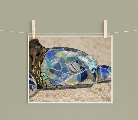 Sea Turtle Collage Art Print – Inspirational Nature Artwork (8x10")